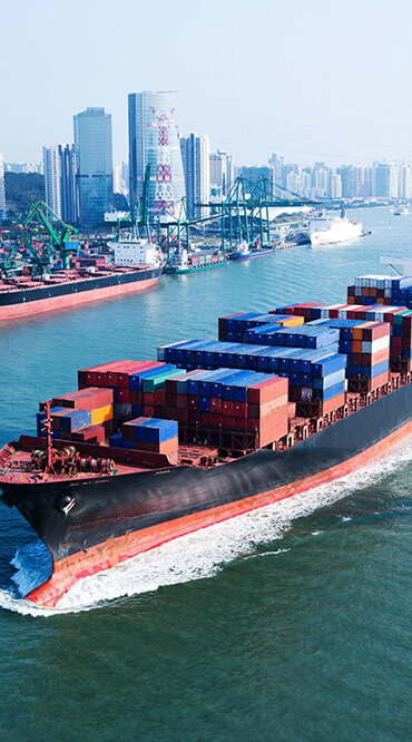 Port to port – Door to door service